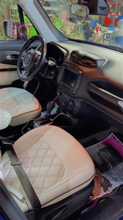 جيب رينيجيد